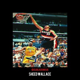 Sheed Wallace Eli Black
