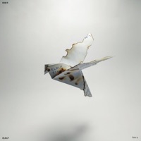 El Lenguaje de los Pájaros (feat. Ari) - ESE R