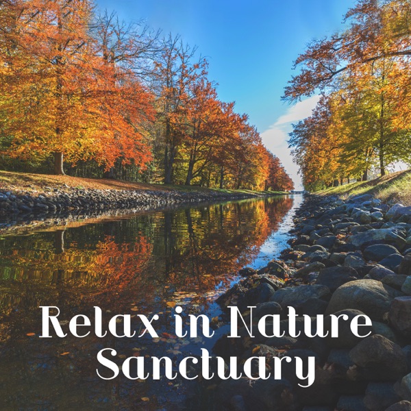 Relax in Nature Sanctuary - Sense of Peace, Serenity Dreamer, Mindful Silence, Wonderful Harmony