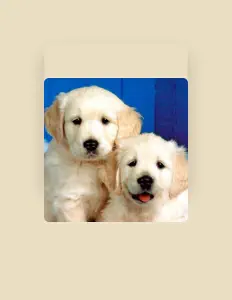 BEEF JEREMY을(를) 듣고, 뮤직 비디오를 보고, 약력을 읽고, 투어 일정 등을 확인하세요!