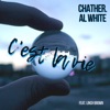 C' est la vie - Single