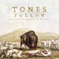 Follow - Single - DJ MattyLite & Tones