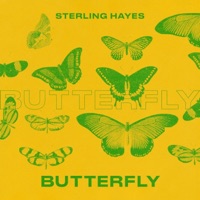 Butterfly (feat. Space Buddha) - Single - Sterling Hayes