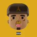 Hoops (feat. Bricc Baby)