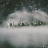 Disarray - Single - Selke