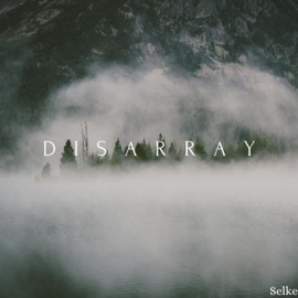 Disarray Selke