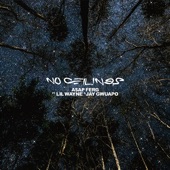 No Ceilings (feat. Lil Wayne & Jay Gwuapo) artwork