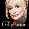 I Will Always Love You - Dolly Parton