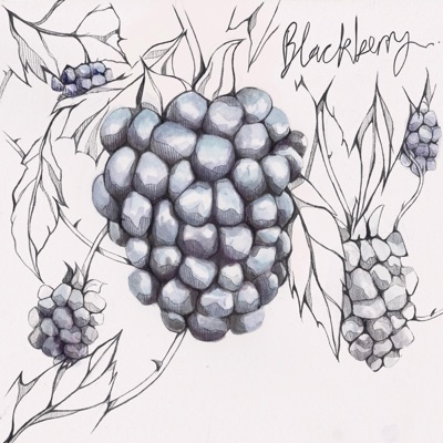 Blackberry - Single