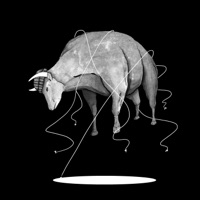 What I Say (feat. Double A) - Single - Mandog