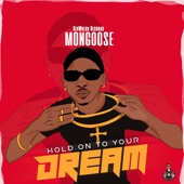 Mongoose - Hold On To Your Dream