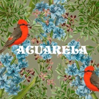 Acuarela - Single - Valdi
