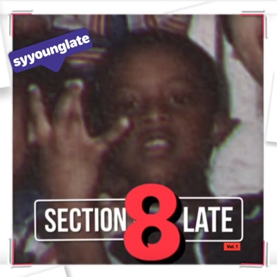 Section 8 Late