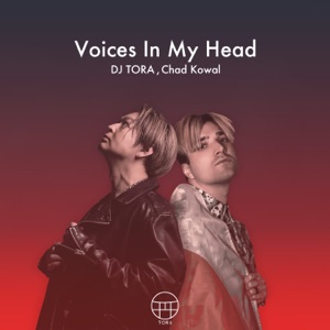 Voices in My Head - Single