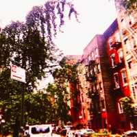 The Rooftop - Single - Kind Kid