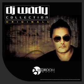 Your Love DJ Wady
