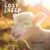 Lost Sheep - Single album cover