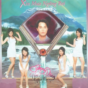 Xin Mưa Ngừng Rơi