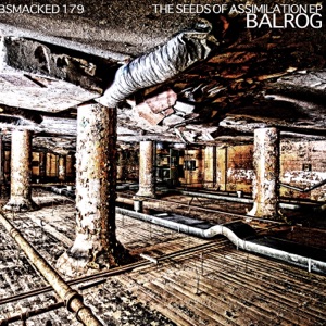 The Seeds of Assimilation - Single