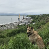 Музыкальная открытка - Single - Овсянкин