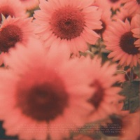 Energi - Single - David Lager