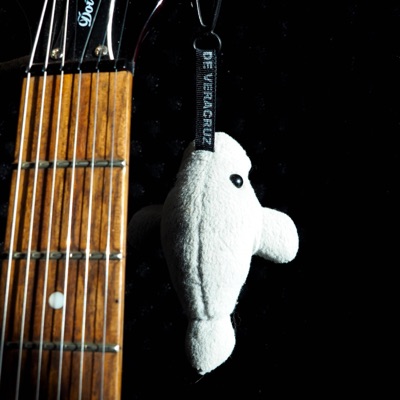 La cumbia de los anticuerpos - Single