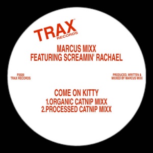 Come on Kitty - Single
