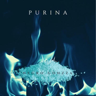 Purina - Single