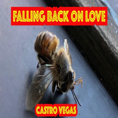 Falling Back On Love - Single