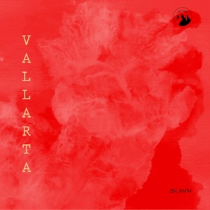 Vallarta - Single