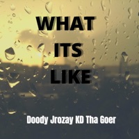What its Like (feat. KD Tha Goer) - Single - Doody Jrozay
