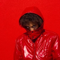 Black Panther (feat. Blaze, Marv. & Yung Po) - Single - 13106