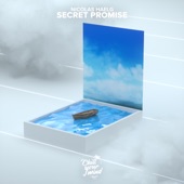 Secret Promise artwork