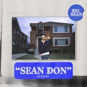 Sean Don artwork