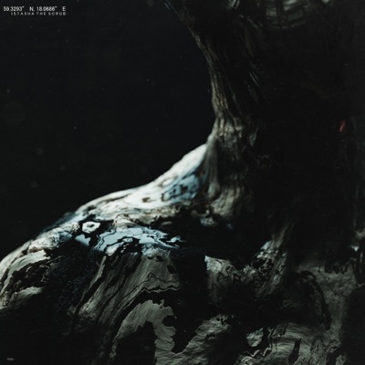 Wasp Tongue - Single
