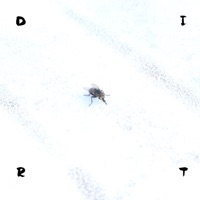 Dirt - Single - Apex God