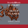 Sarah J. Maas - A Court of Silver Flames
