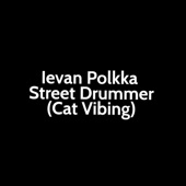 Ievan Polkka Street Drummer (Cat Vibing) [Live] artwork