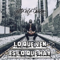 Lo Que Ven Es Lo Que Hay - Single - eMe eLe 5inco