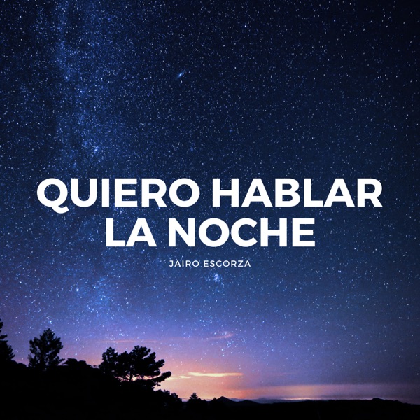 Quiero Hablar la Noche