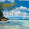 Sounds of Nature - Relaxing