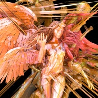 Бой плачет - Single - PLATIT & HOFMANNITA