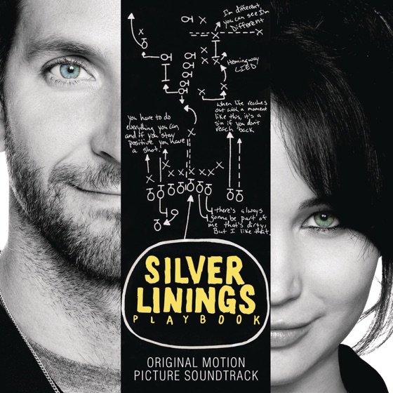 Cover artwork for Now I'm a Fool