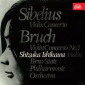 Sibelius, Bruch: Violin Concertos artwork