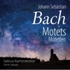 Johann Sebastian Bach ãããªããé¢ããªããããªããç§ãç¥ç¦ãã¦ãããã¾ã§ã BWV Anh. 159 Johann Sebastian Bach ã¢ãããé