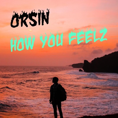 How you Feelz - Single