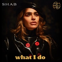 What I Do - Single - Shab