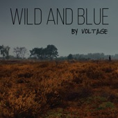 Wild and Blue (Radio Edit) artwork