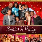 Spirit Of Praise, Vol. 1 (Live)