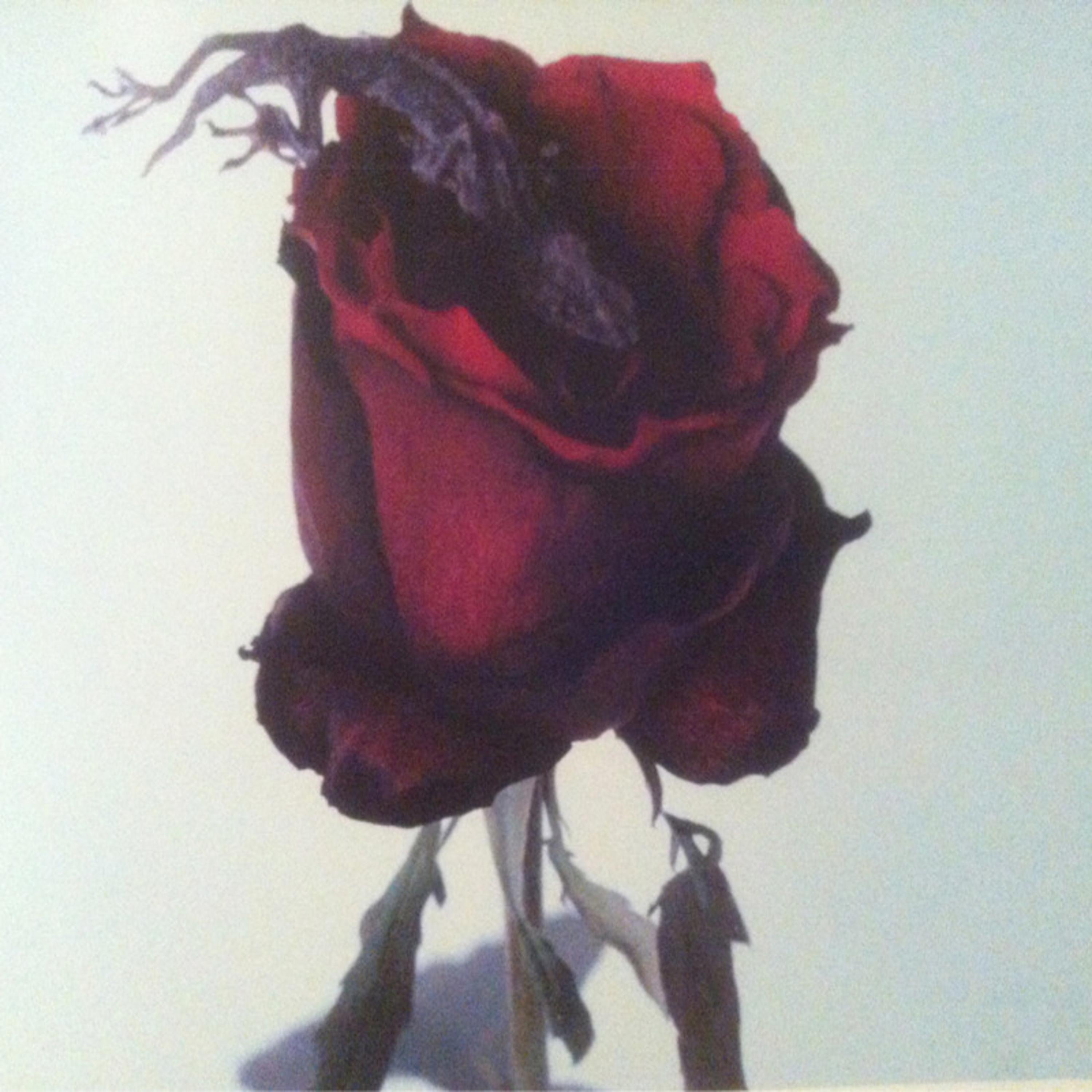 Turn Yo Back - Single